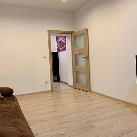 Felicjanek Apartment كراكوفيا المظهر الخارجي الصورة